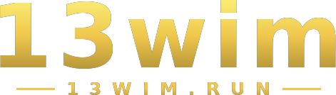 13wim logo